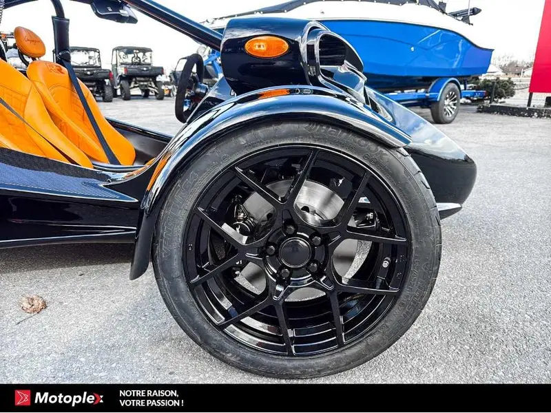 2026 Campagna T-Rex