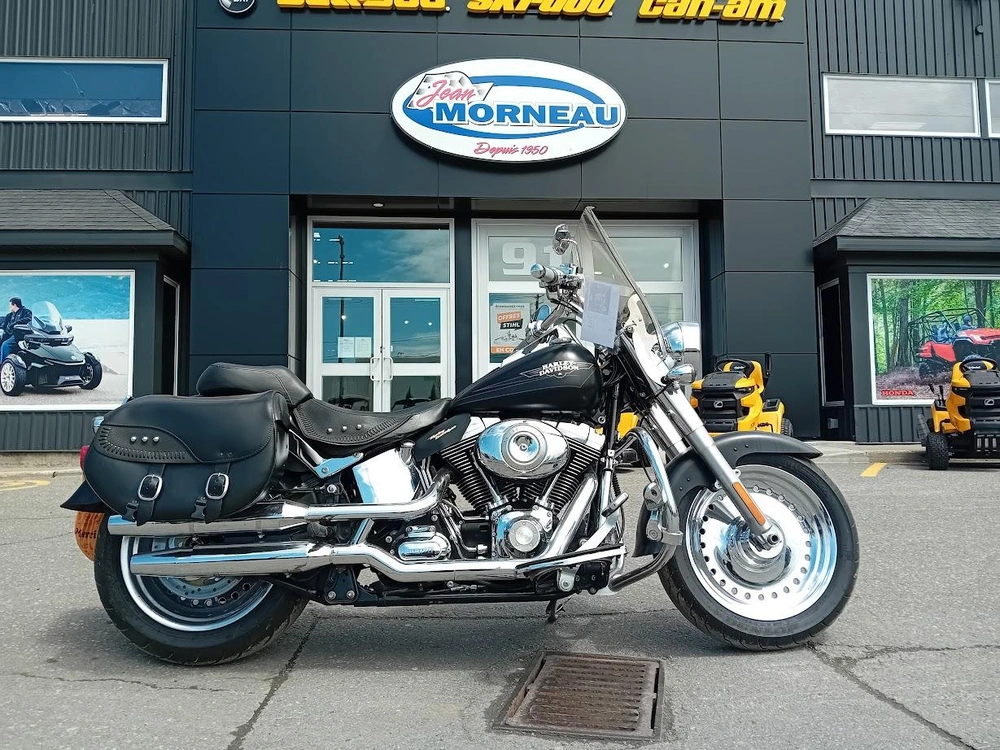 Harley-davidson Flstf 2009 alt