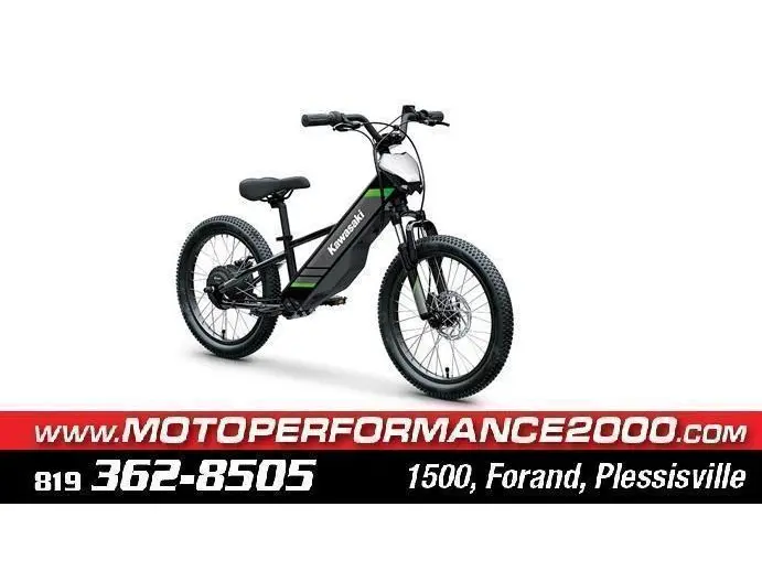 2025 Kawasaki ELEKTRODE 20