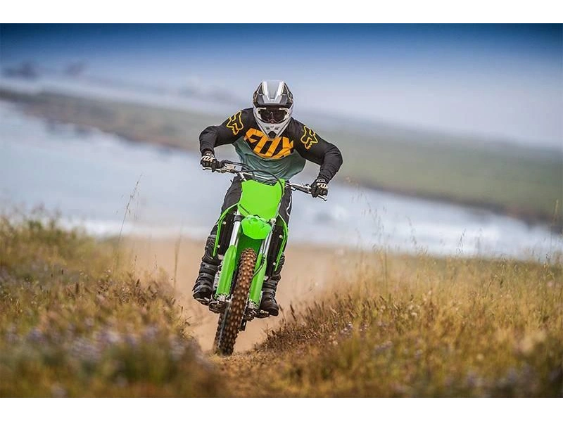 2025 Kawasaki Klx® 300r alt