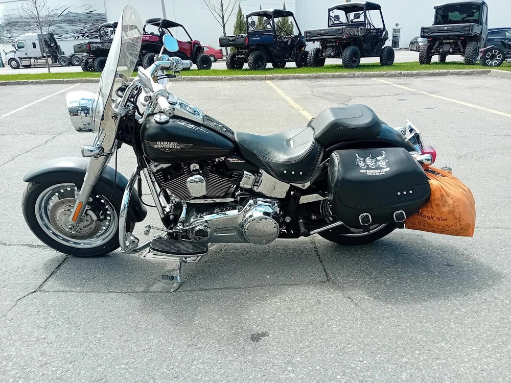 Harley-davidson Flstf 2009 alt
