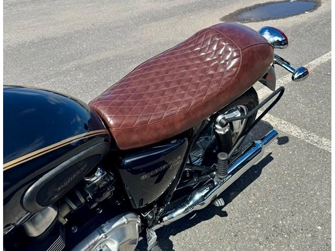 Triumph 865 Bonneville T100 2014 alt