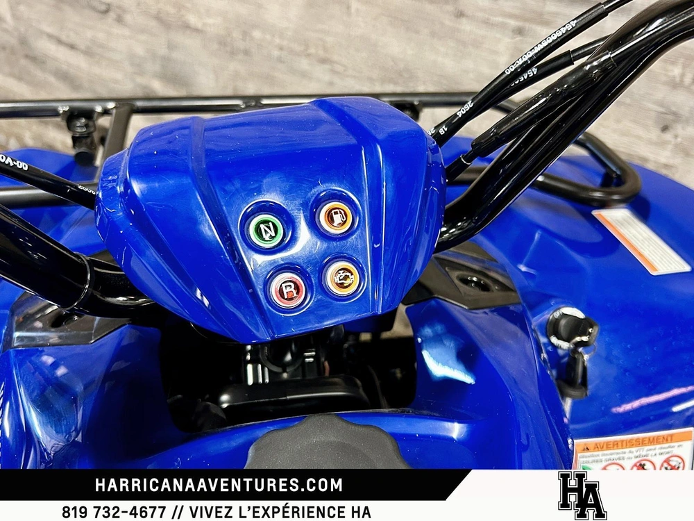 Yamaha Grizzly 110 2025 alt