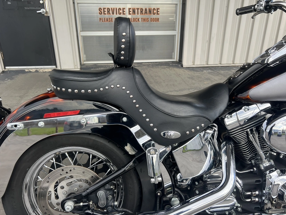 2006 Harley-davidson Flstc-heritage Softail Classic alt