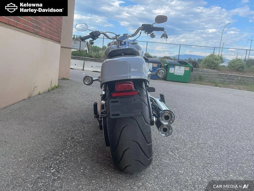 2025 Harley-davidson Flfb - Fat Boy™ alt
