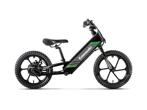 2025 Kawasaki Elektrode 20 alt