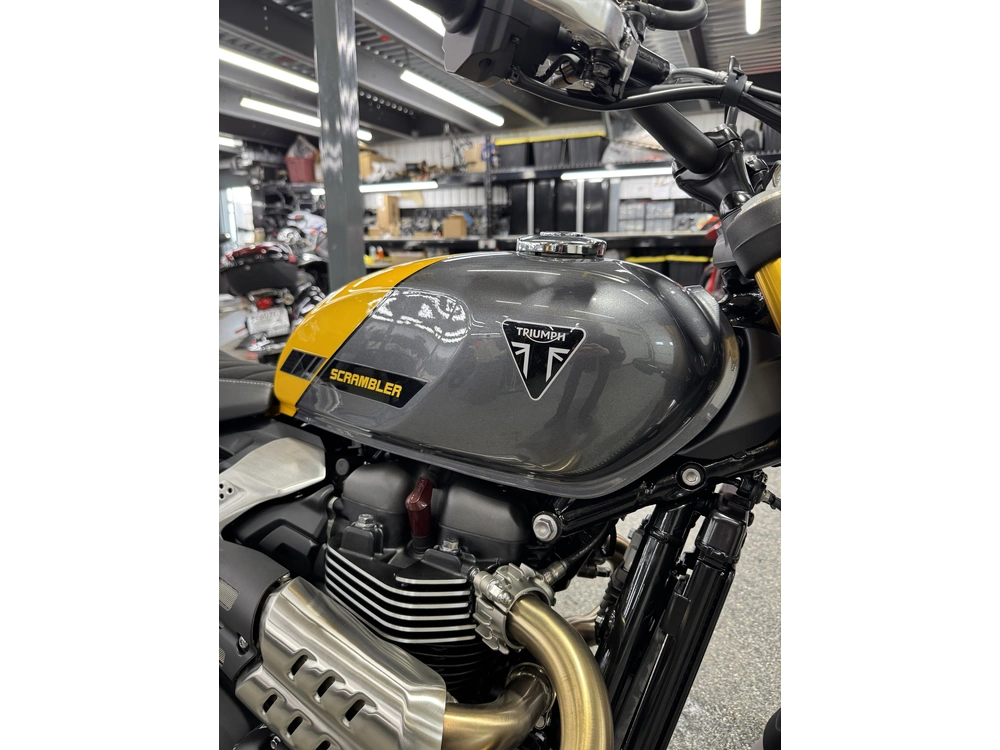 Triumph Scrambler 900 2026 alt