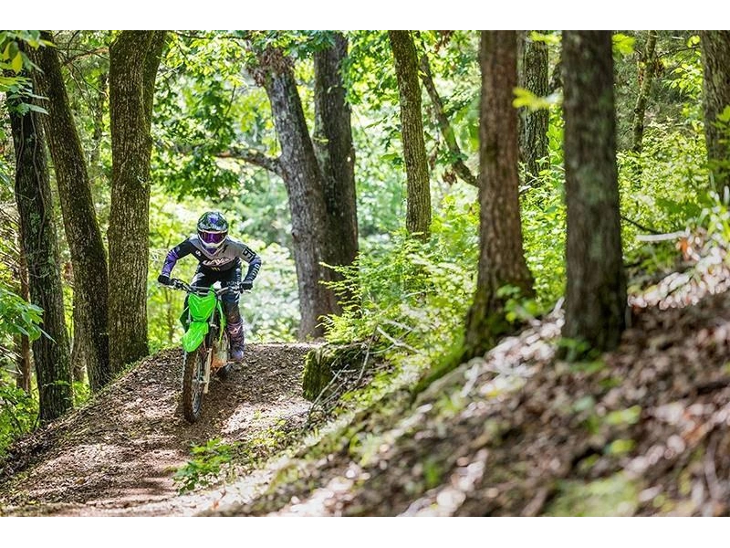2025 Kawasaki Klx® 230r S alt