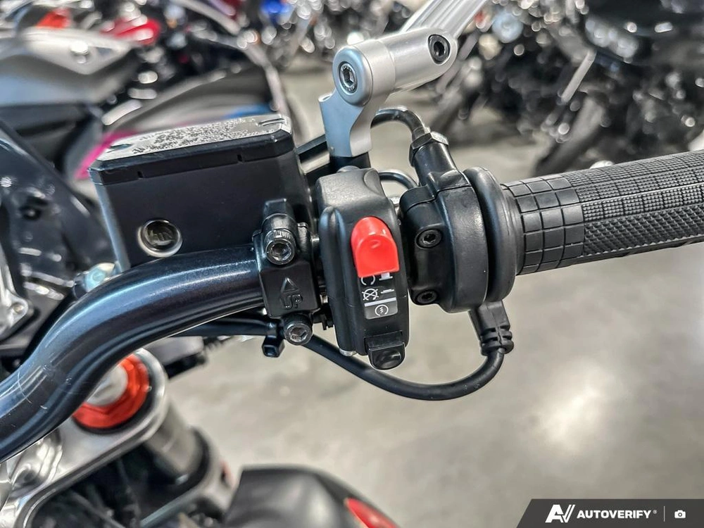 2013 Moto Guzzi Griso alt