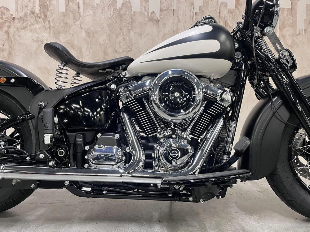 2025 Harley-davidson Flhc Heritage Classic alt