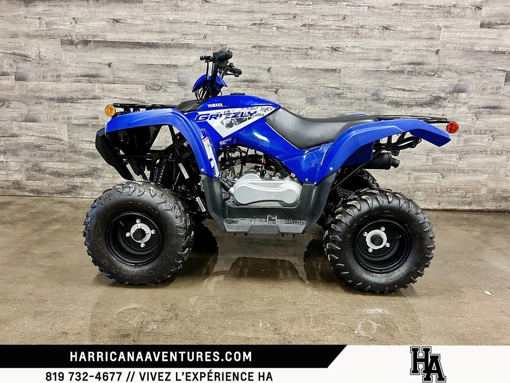 Yamaha Grizzly 110 2025 alt