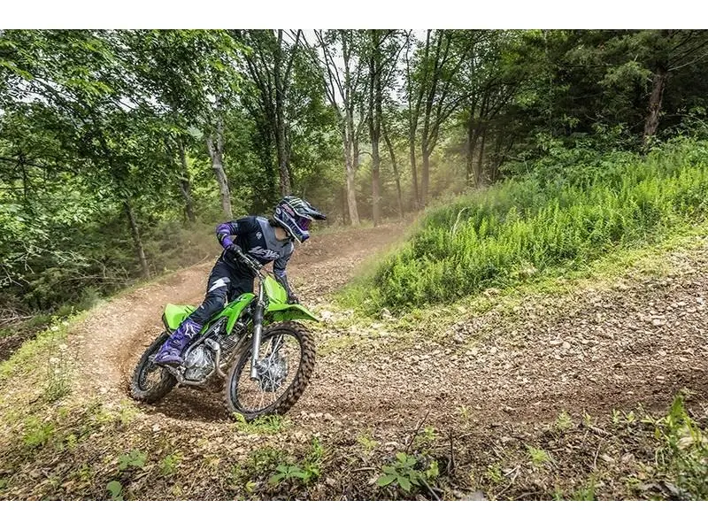 2025 Kawasaki KLX® 230R S thumbnail 2
