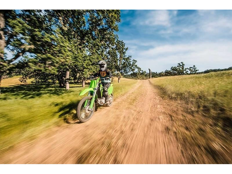 2025 Kawasaki Klx® 300r alt