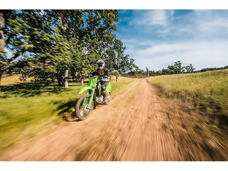 2025 Kawasaki KLX® 300R thumbnail 13