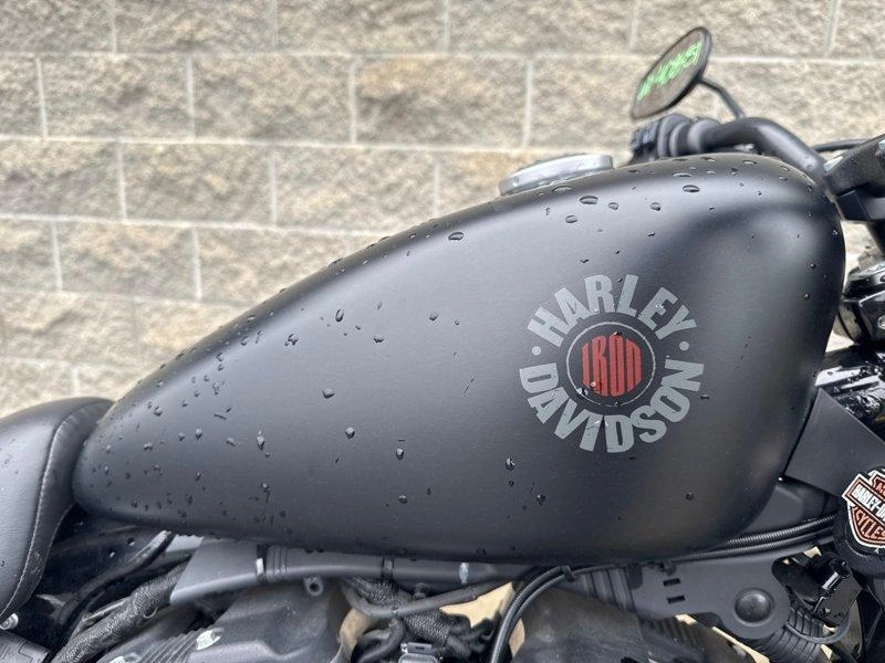 2021 Harley-davidson Xl883n - Iron 883 alt