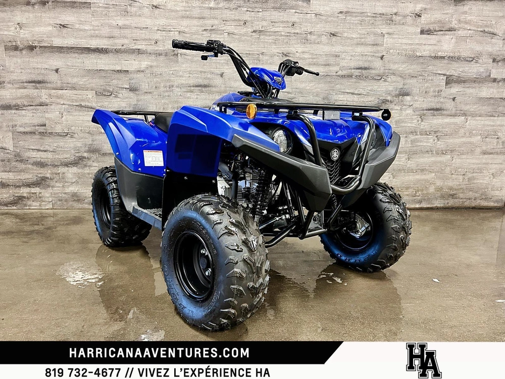 Yamaha Grizzly 110 2025 alt