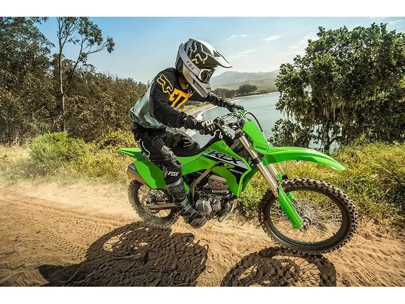 2025 Kawasaki KLX® 300R thumbnail 19