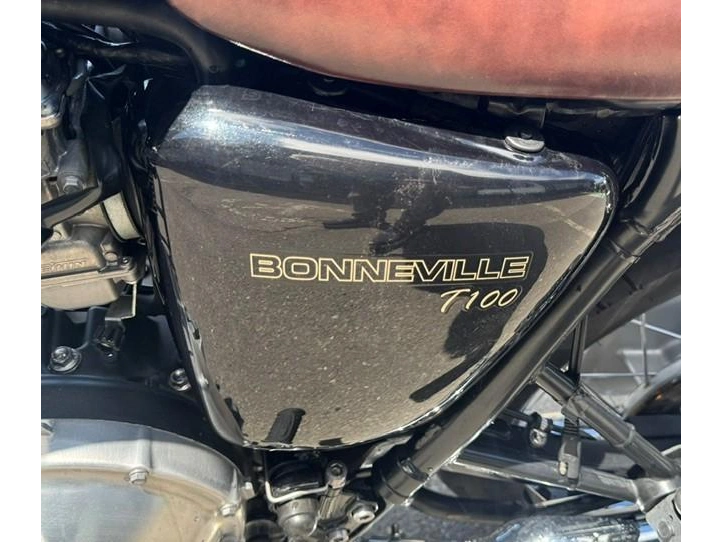Triumph 865 Bonneville T100 2014 alt