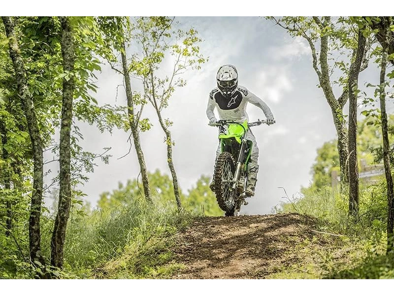 2025 Kawasaki Klx® 230r S alt