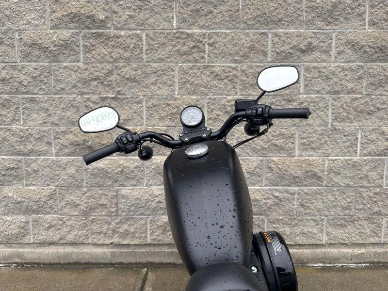 2021 Harley-davidson Xl883n - Iron 883 alt