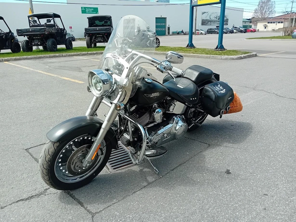 Harley-davidson Flstf 2009 alt