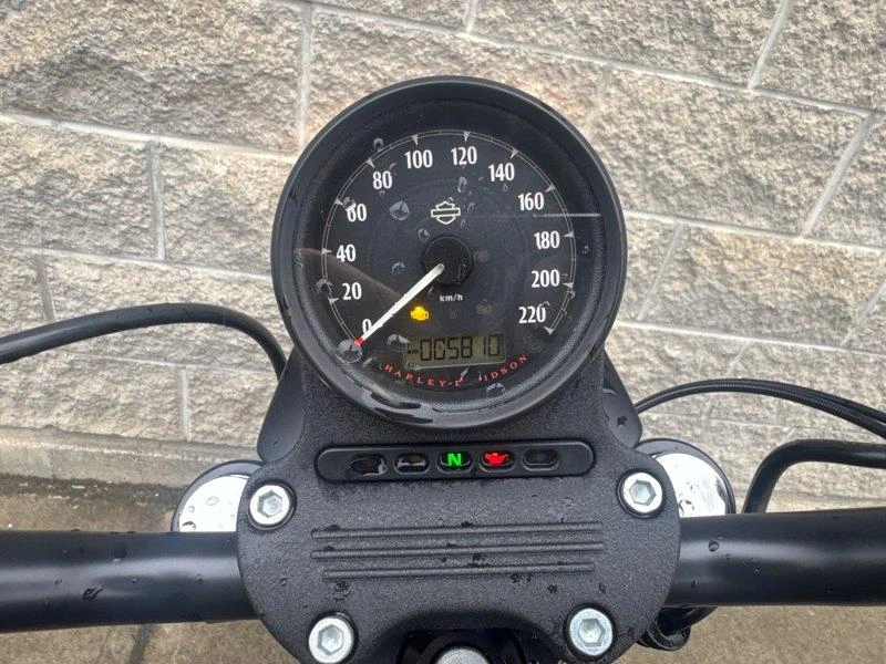 2021 Harley-davidson Xl883n - Iron 883 alt