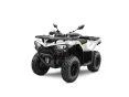 2026 Cfmoto Cf500az alt
