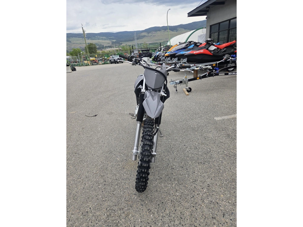 2024 Kawasaki Klx230r alt