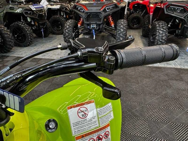 Yamaha Raptor 110 2026 alt