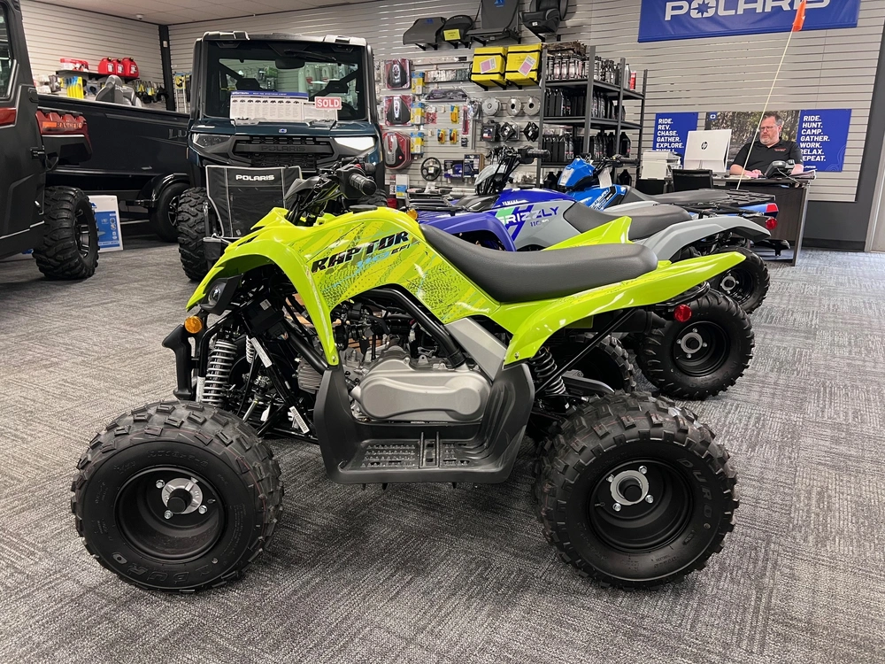 2026 Yamaha Raptor 110 alt