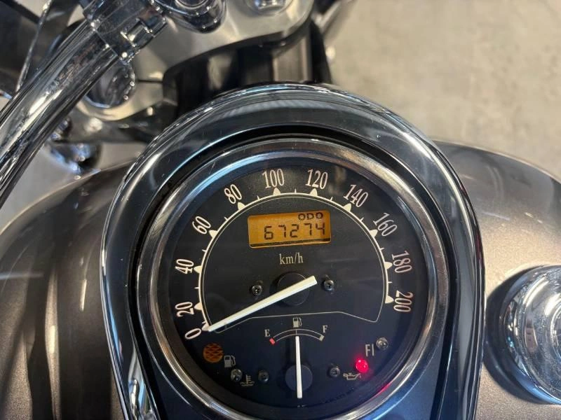 Kawasaki Vn 900 2014 alt