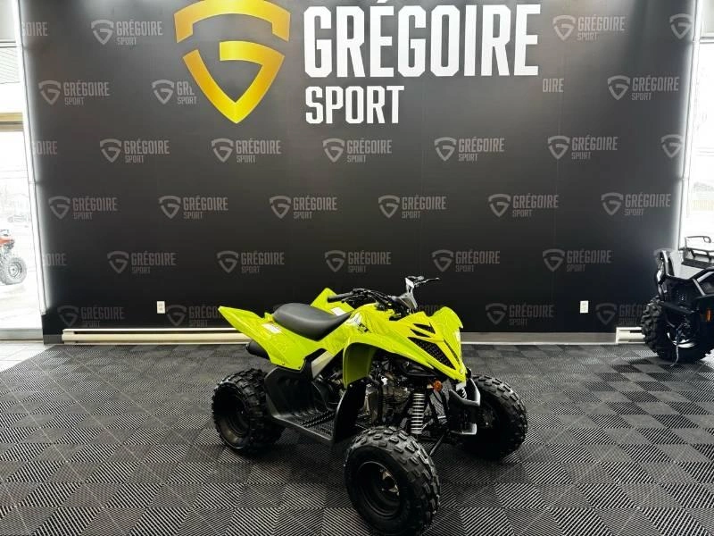 Yamaha Raptor 110 2026 alt