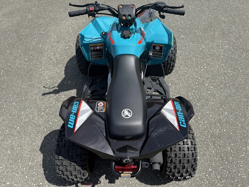 2026 Can-am Renegade 110 Efi alt