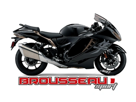 2025 Suzuki Hayabusa alt
