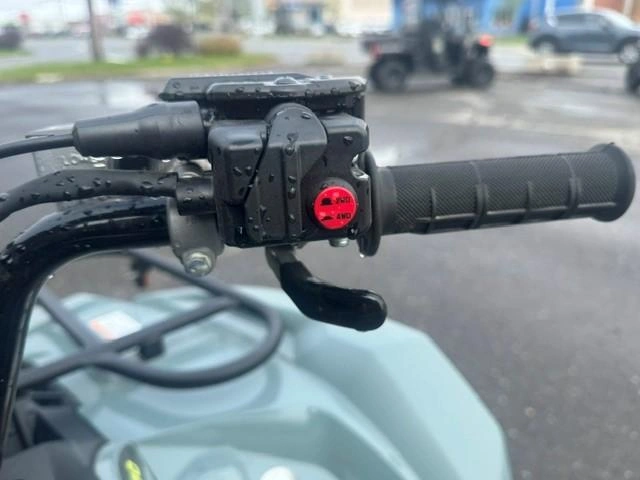 Yamaha Kodiak 450 Eps Xt-r 2026 alt