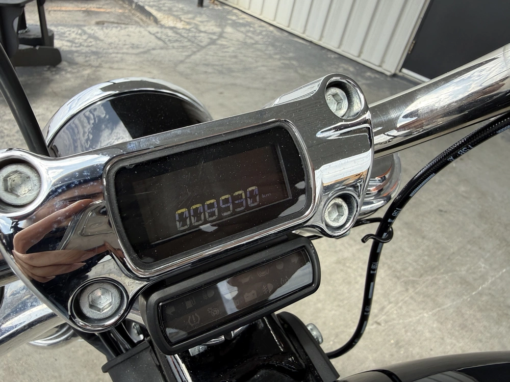 2024 Harley-davidson Softail Standard alt