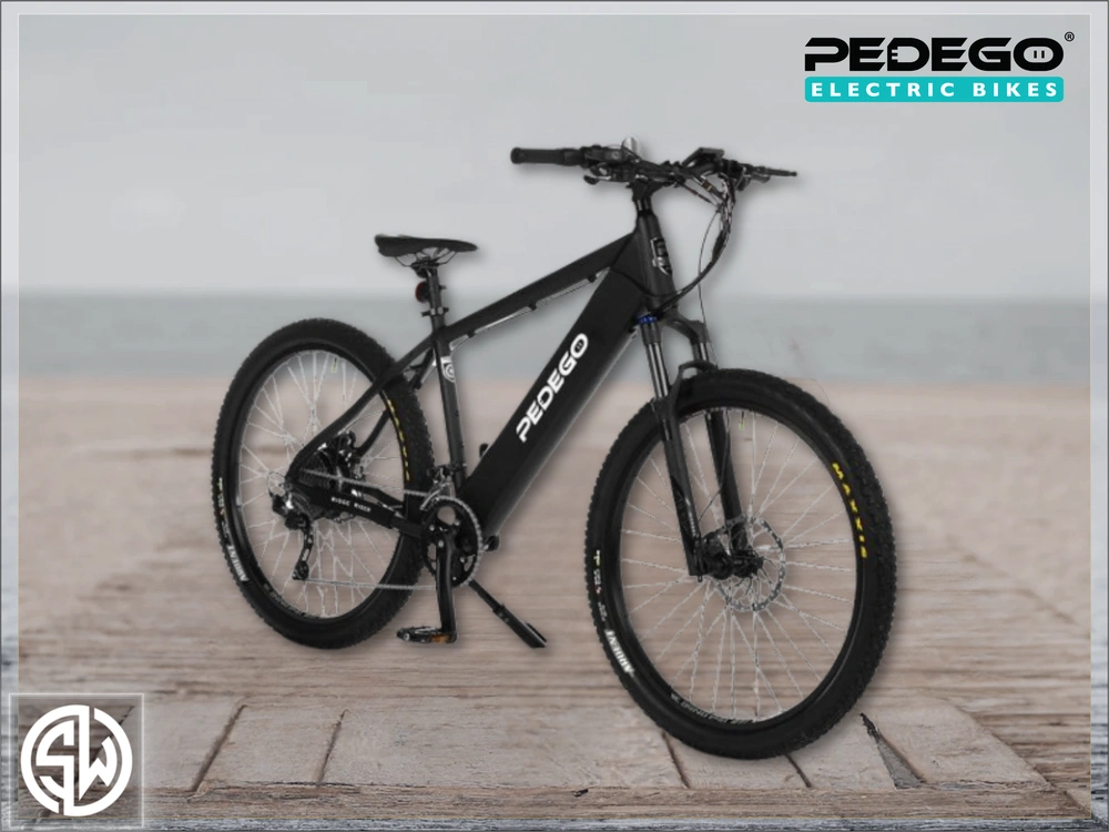 2021 Pedego Ridge Rider alt
