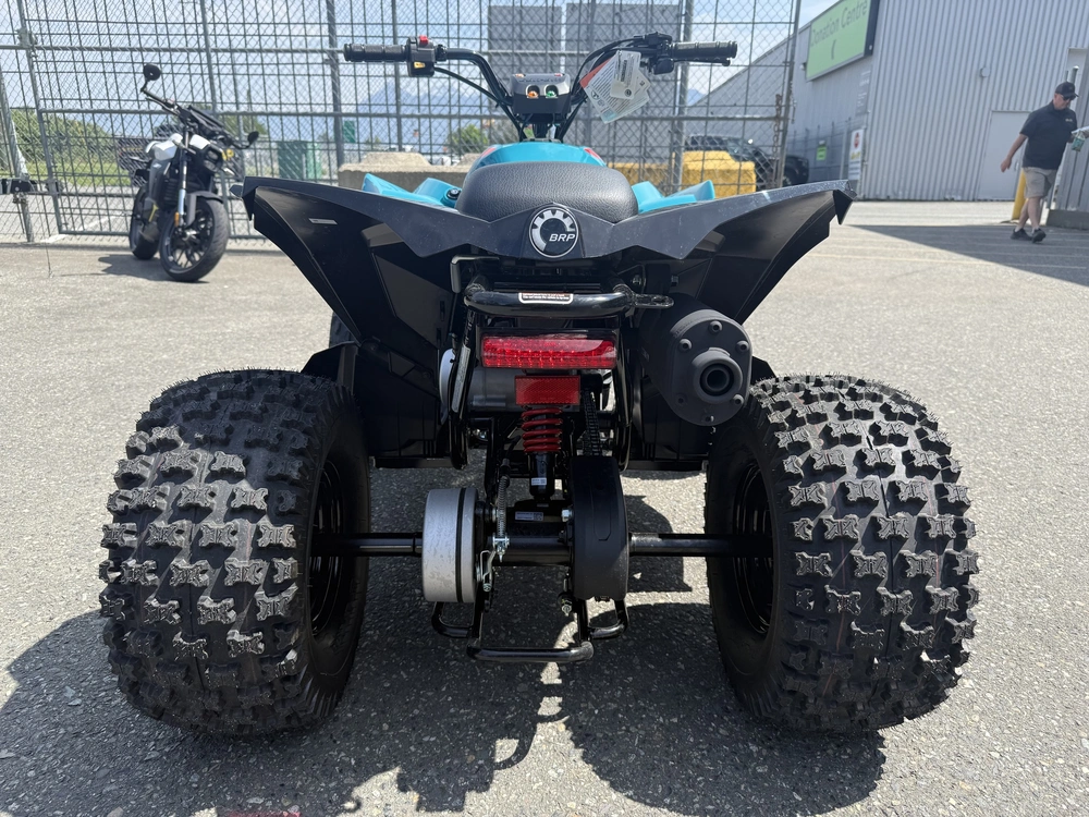 2026 Can-am Renegade 110 Efi alt