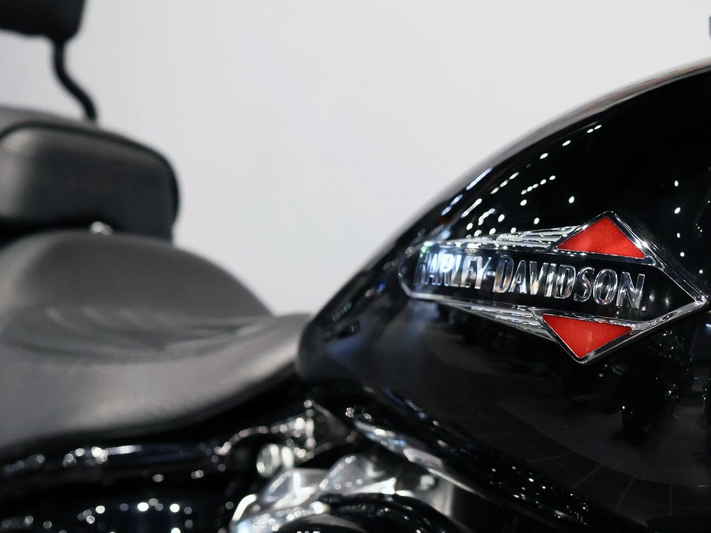 2021 Harley-davidson Softail Slim Flsl alt