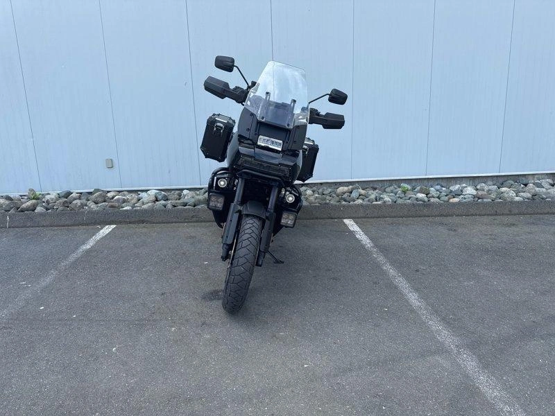 2021 Harley-davidson Ra1250s - Pan America™ 1250 Special alt