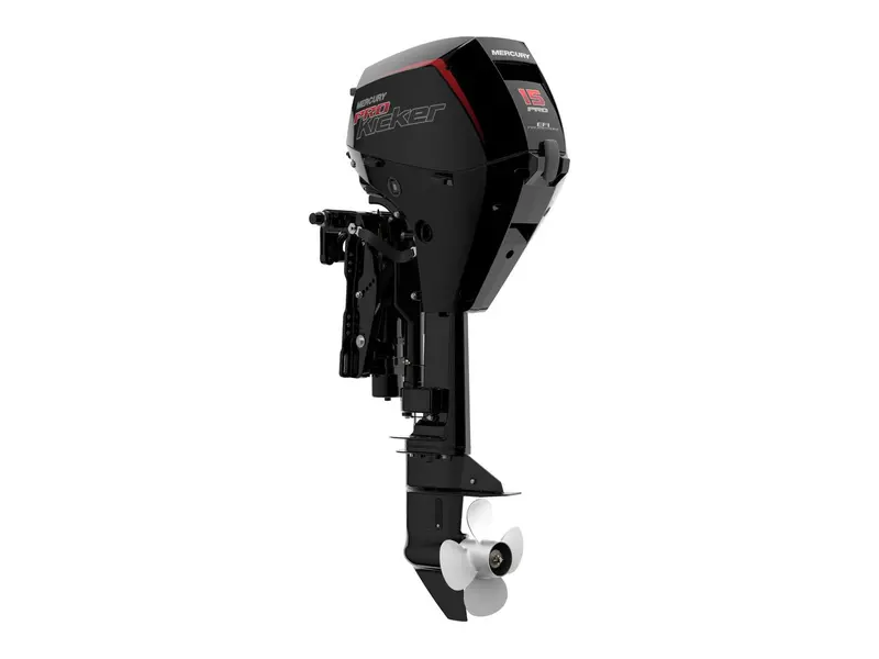 Mercury Marine Mercury 15 EXLPT CT PK EFI
