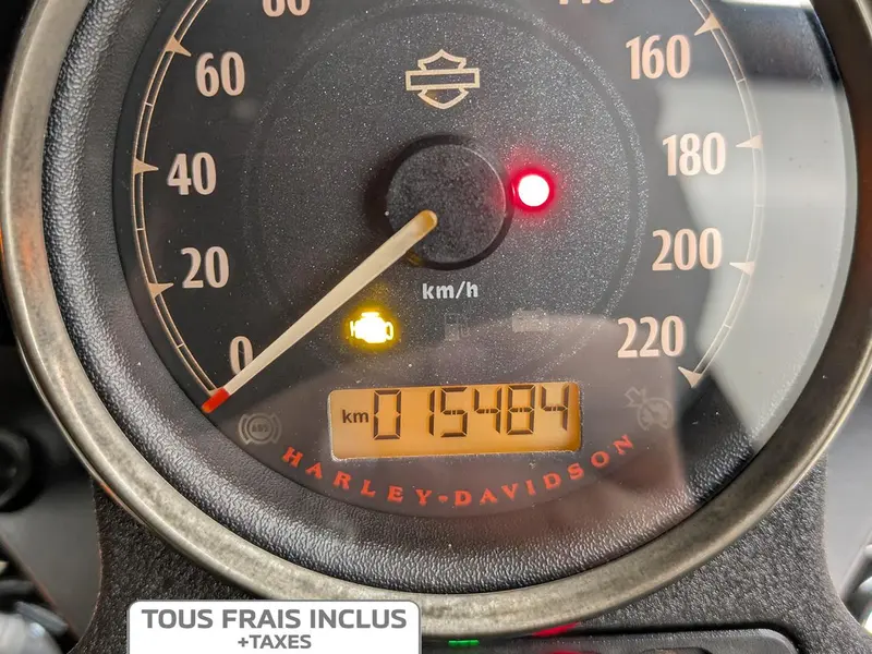 2020 Harley-Davidson XL1200NS Sportster Iron thumbnail 11