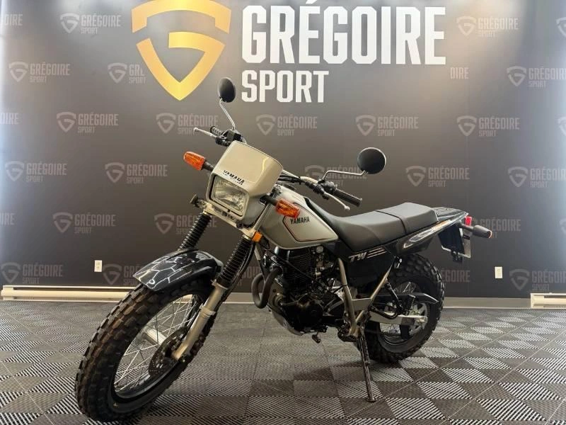 2026 Yamaha Tw200 alt