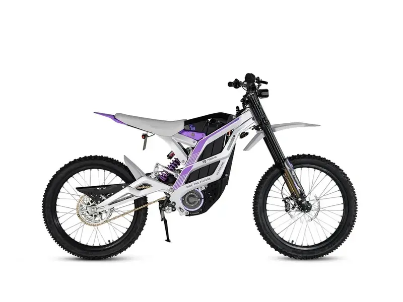 2025 79 Bike FALCON PRO SILVER/PURPLE