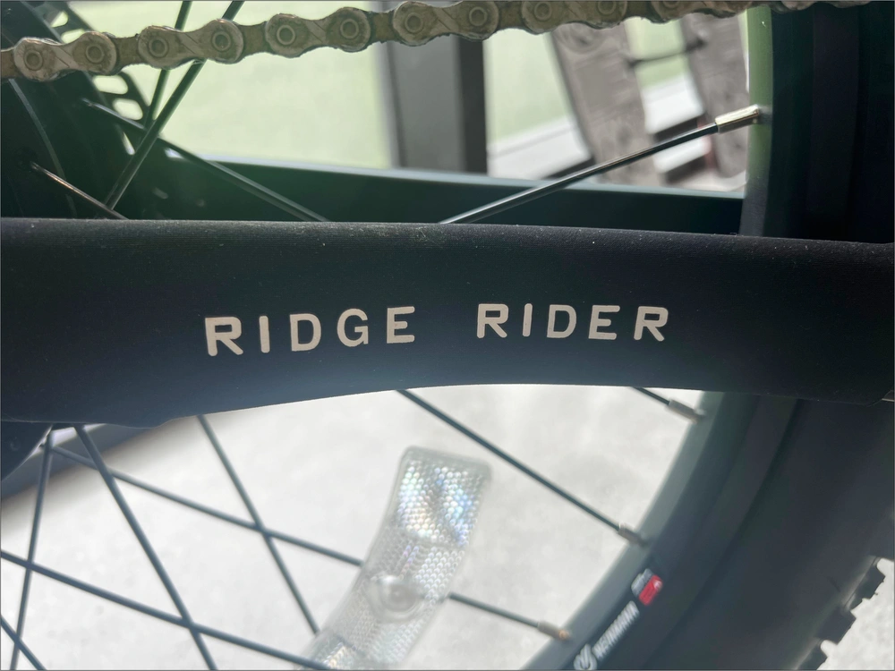 2021 Pedego Ridge Rider alt