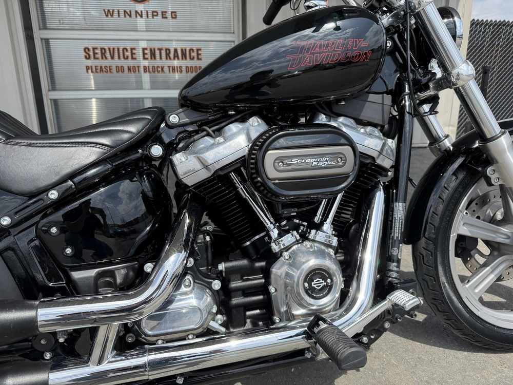 2024 Harley-davidson Softail Standard alt