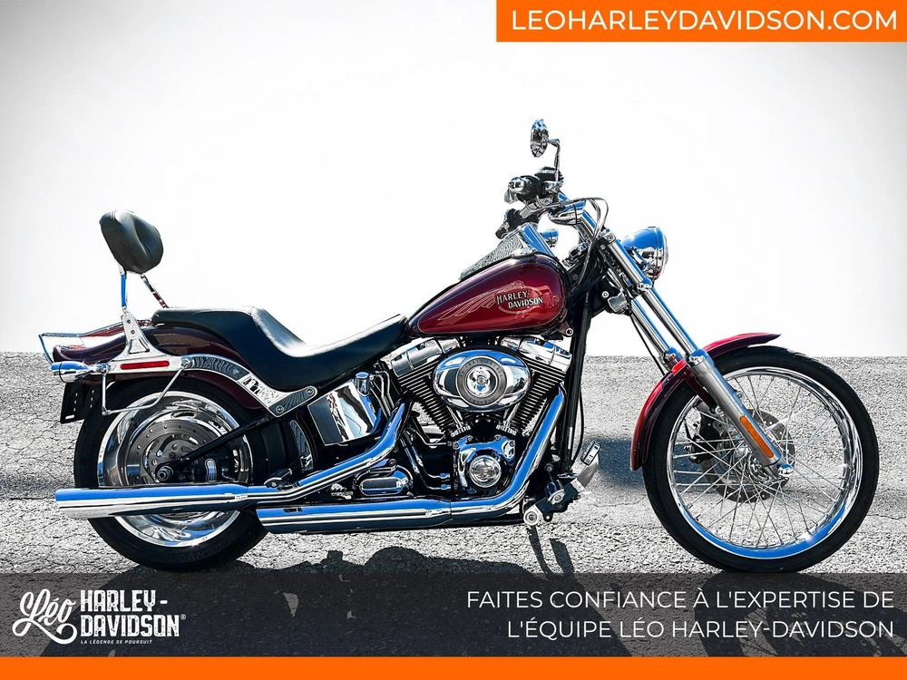 Harley-davidson Fxstc Softail Custom 2008 alt