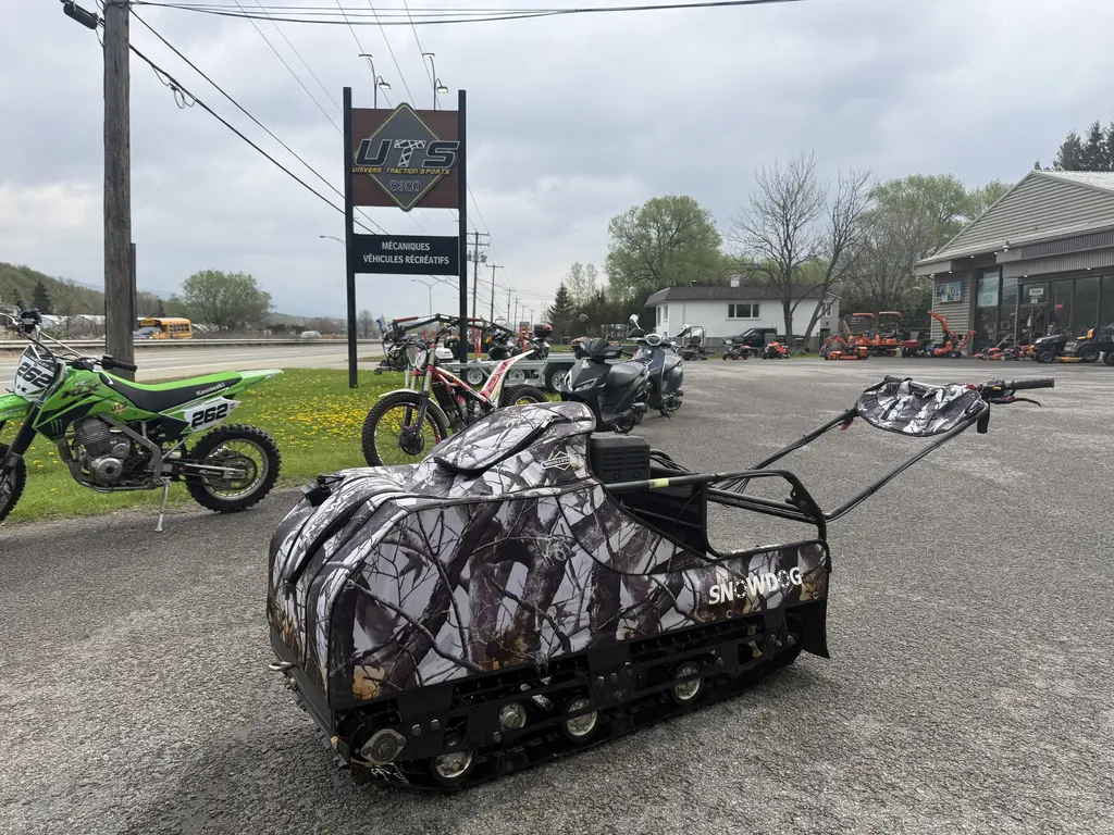 2019 SnowDog B13MER