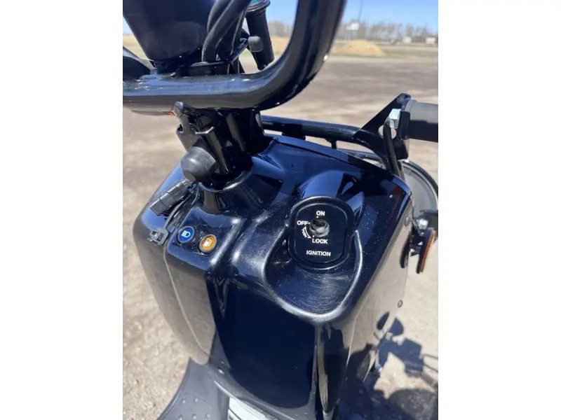 2020 Honda Ruckus thumbnail 12