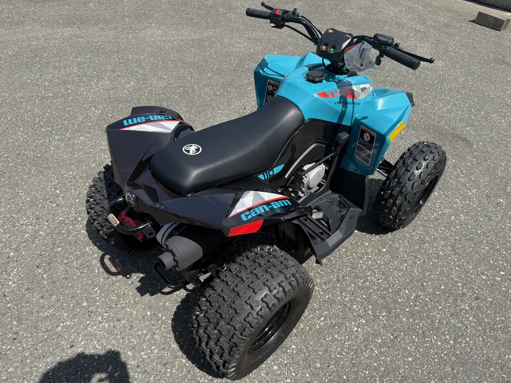 2026 Can-am Renegade 110 Efi alt